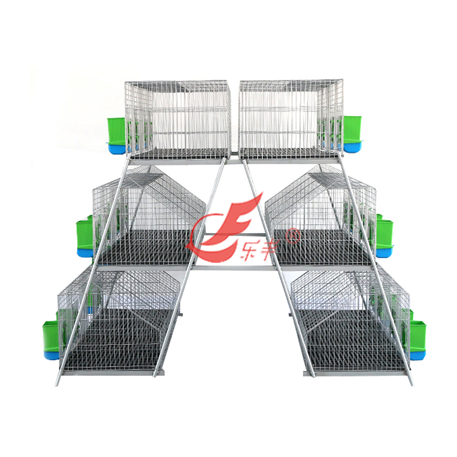 阶梯式二十四笼位兔笼 -绍兴乐丰笼具设备有限公司