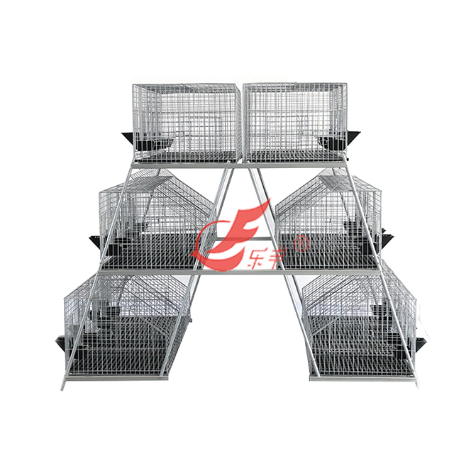 三层二十四笼位兔笼-绍兴乐丰笼具设备有限公司