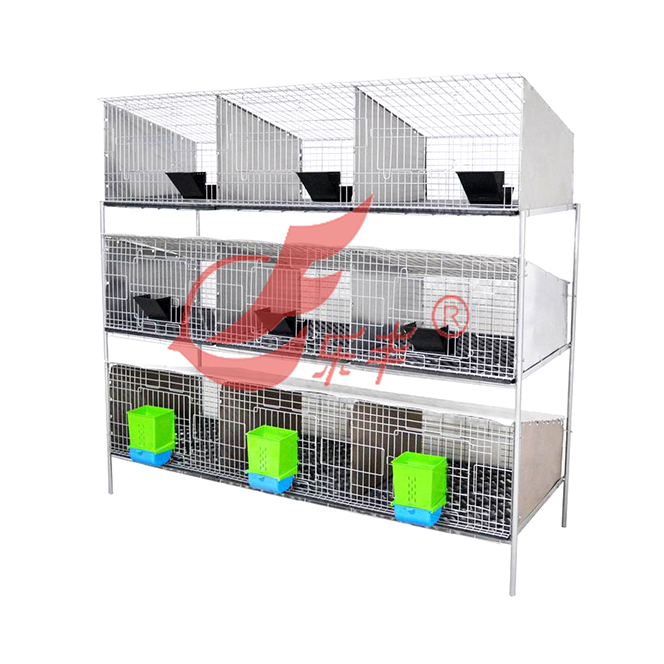 钢板隔断式九笼位种兔笼-绍兴乐丰笼具设备有限公司
