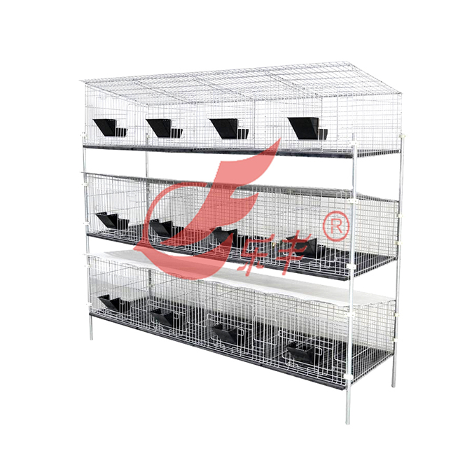 下抽底板式十二位种兔笼-绍兴乐丰笼具设备有限公司